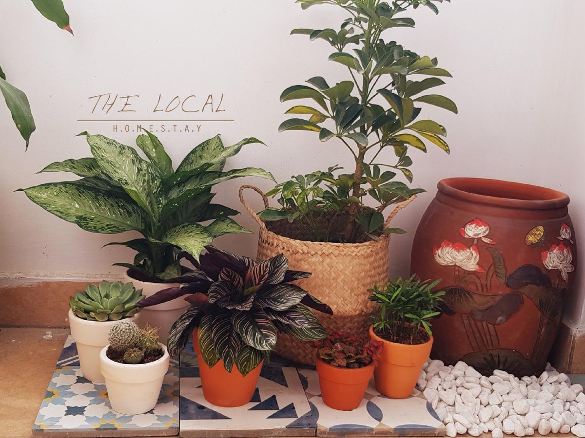 The Local Homestay Thành Pho Ho Chí Minh Esterno foto