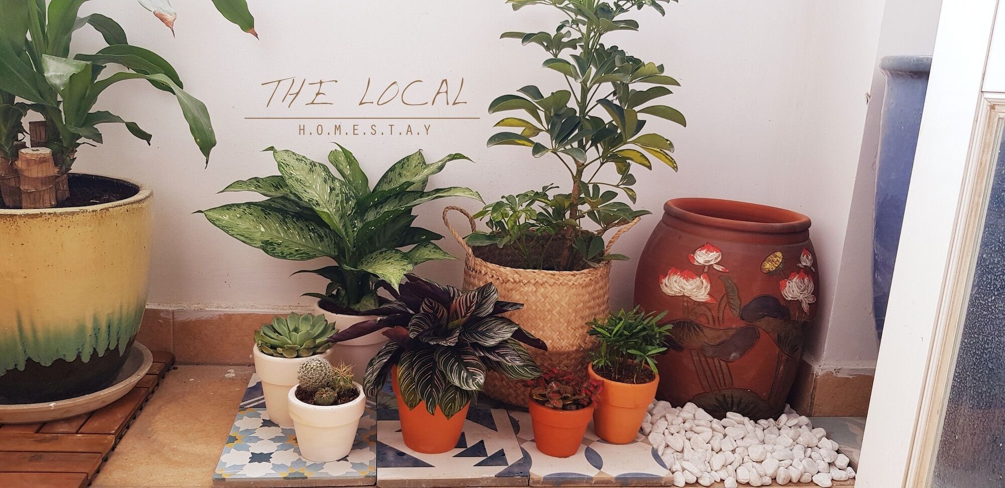 The Local Homestay Thành Pho Ho Chí Minh Esterno foto